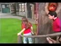All Week Of Sing And Dance With Barney Screener All Week Version Part 33