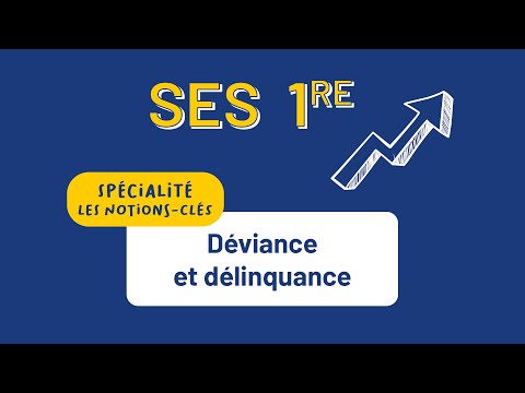 SES 1re - Déviance et délinquance