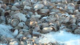 Afinal a minha Cancao. Madredeus