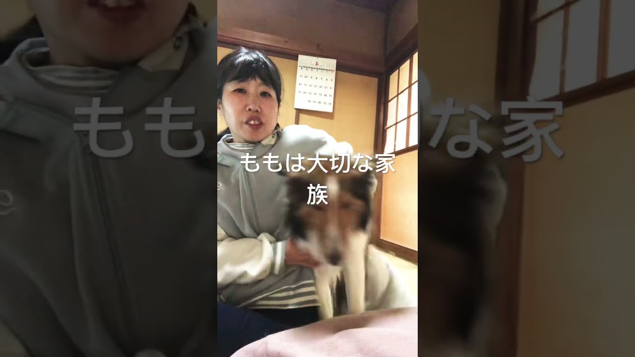 ももと目指せ3万人