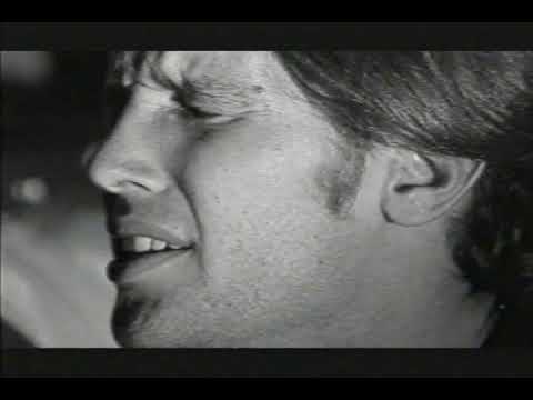 The Buzzhorn   Everything I See 1999 Video