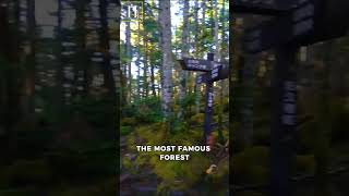 Forests Cover 67% of Japan