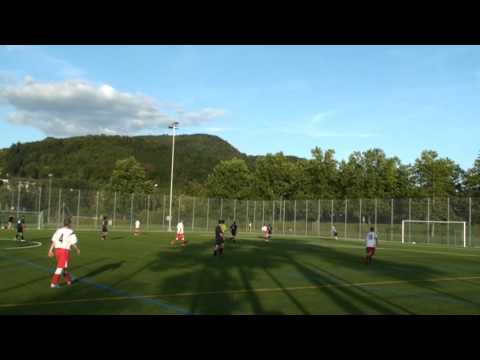 Tor Fabian Salfinger