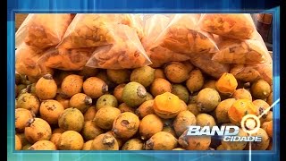 Infectologista alerta para perigos e cuidados ao comer tucumã; veja