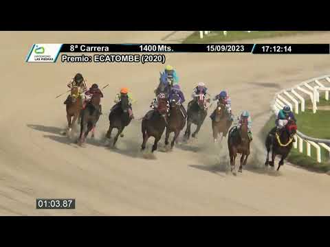 230915 C08 - DON GATUNO (ARG) - HIPODROMO LAS PIEDRAS