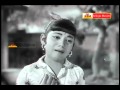 Letha Manasulu Telugu Movie Songs Kodi Oka Konalo Punju Oka Konalo Harnath Jamuna