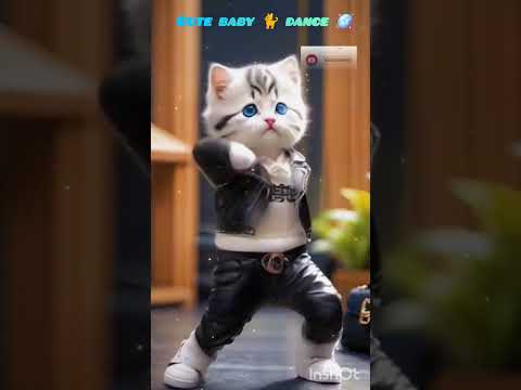 Cut cat dance music 😱.      Kitna pyara dance hai cat ka super dancer #