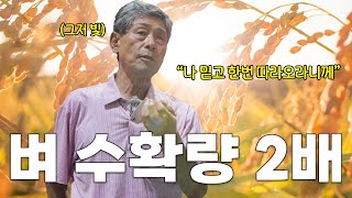 작년대비 벼 수확량만 최소 2배 이상?! 벼 농사 50년 고수만 믿고 따라오세요!!