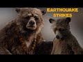 Paddington The Earthquake Strikes The Bears Amazing Adventures