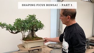 Download lagu Shaping Ficus Bonsai - Part 1 mp3
