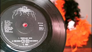 The King Of The Mountain Cometh ~ T. Rex ~ 1971 Fly 45rpm Vinyl Single Record ~ Marc Bolan 75th