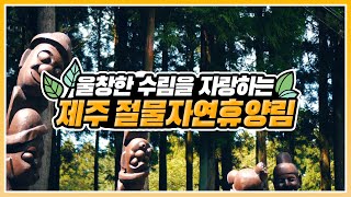 [#온택트숲여행] 혼저옵서예