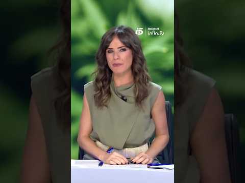 La Guardia Civil desmantela una plantación de marihuana bajo tierra en Granada