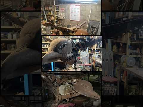 Volar santa Regina colonia Uruguay