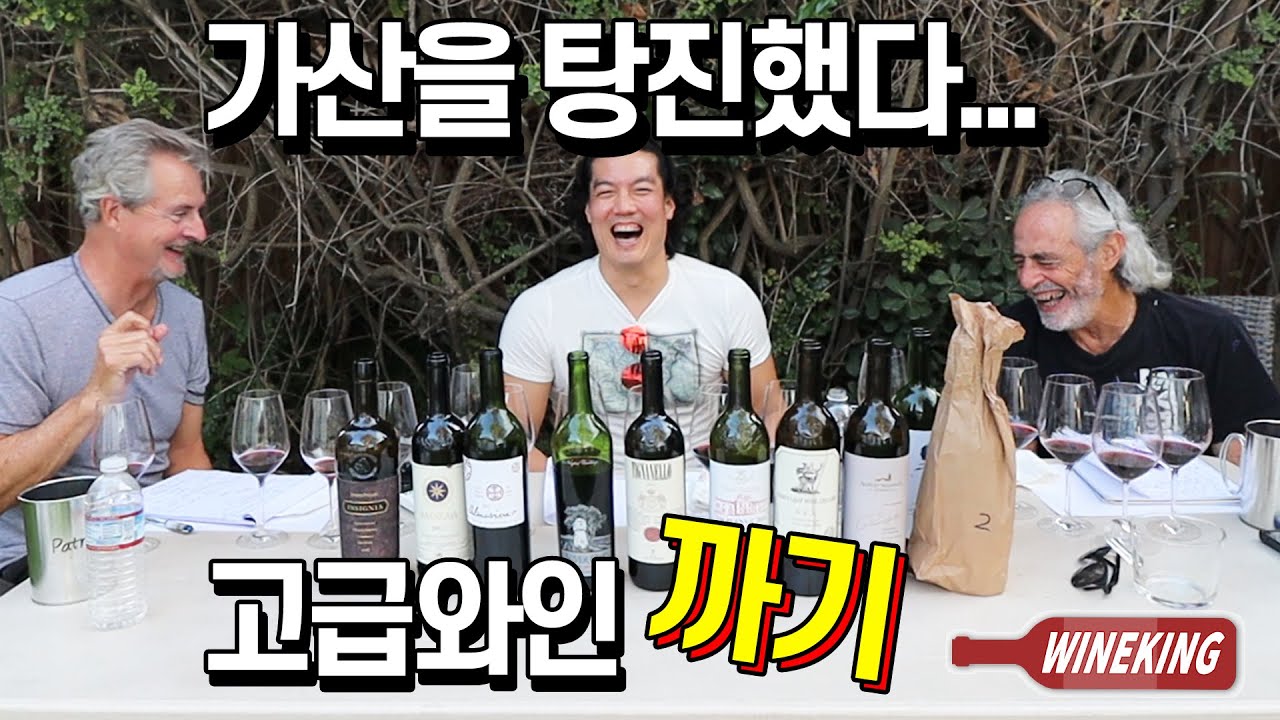 Watch Tasting 9 really expensive wines!(Opus One, Sassicaia, Almaviva, Tignanello, Isignia, Mondavi...) Now Tasting 9 really expensive wines!(Opus One, Sassicaia, Almaviva, Tignanello, Isignia, Mondavi...)
