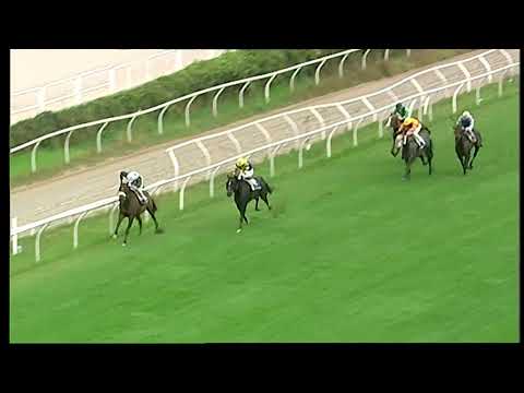 Napoli Galoppo 8/11/2021 - 1ª corsa