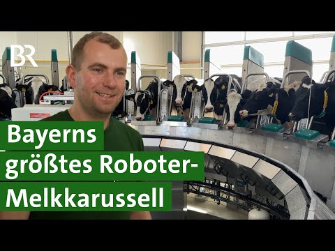 Neuer Kuhstall, moderne Technik: Hier melken 28 Roboter im Karussell! | Unser Land | BR