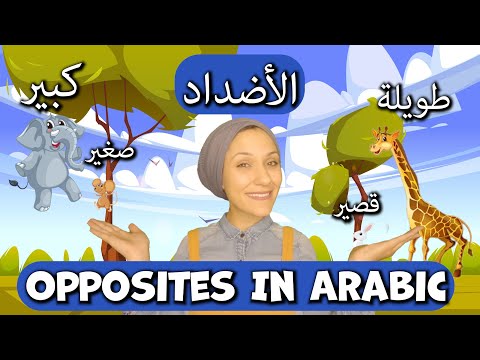 Opposites in ARABIC - For Babies & Toddlers
