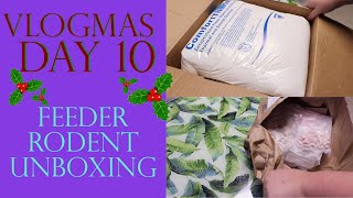Vlogmas Day 10 | FEEDER RODENT UNBOXING