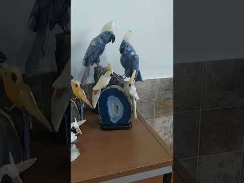 Mercado dos Cristais - Cristalina GO #Cristalina #cidadedoscristais #Cristais  #goodvibes #brasil