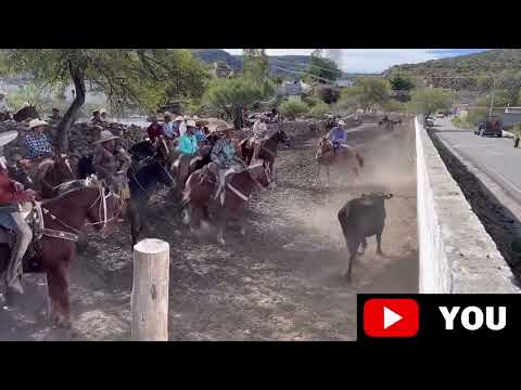 Rodeo Huejuquilla Jalisco Tradiciones #viralvideo