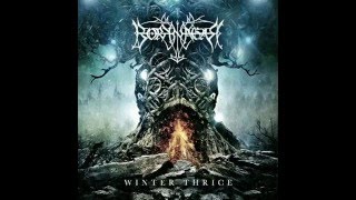 Borknagar - Erodent (Winter Thrice) 2016