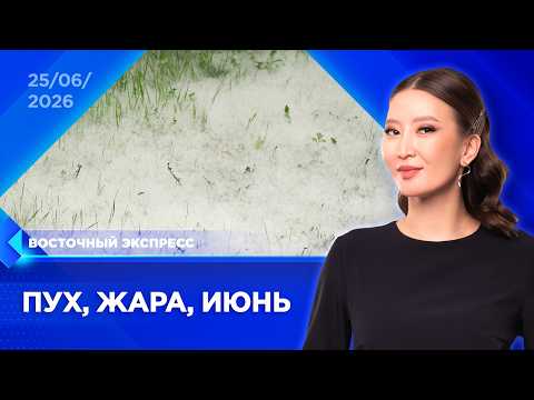 Тополиный пух заполонил Улан-Удэ | «Восточный экспресс» | новости Бурятии