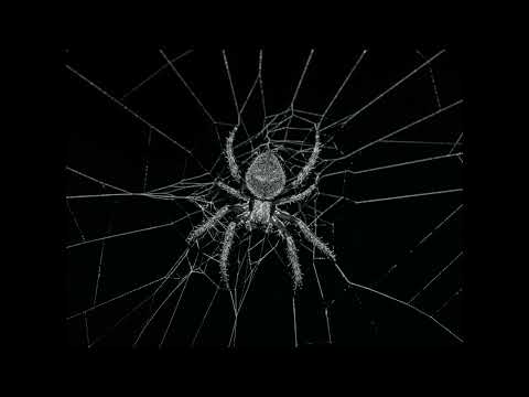 Stealth Music - Operation Spider Hunt