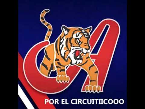 TIGRES VS MAGALLANES TRANSMITIDO POR @CIRCUITOTIGRES EN 99PUNTO5  16-12-2015