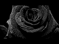 video poem