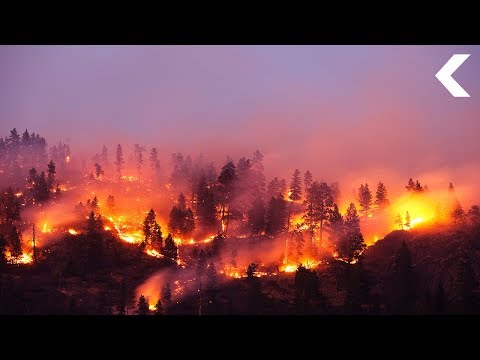 An Alternative Theory About What Could Have Killed The Dinosaurs