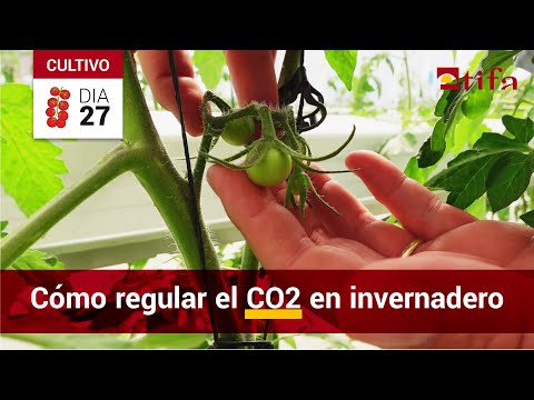 , title : 'Estrategias de CO2 para Tomate bajo Invernadero: Fertilización Carbónica'