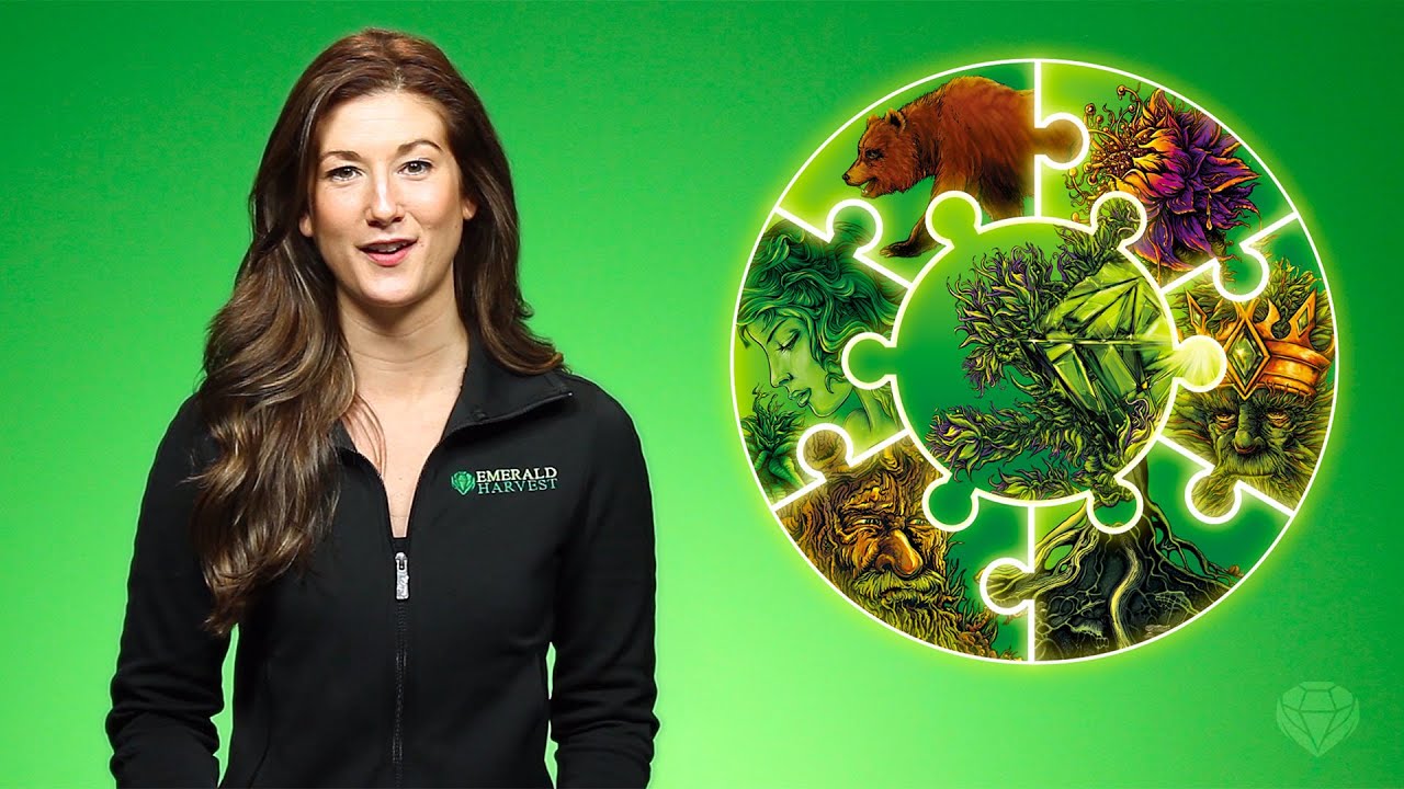 NUTRIENT PRODUCT LINE OVERVIEW - EMERALD HARVEST