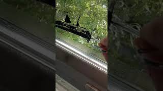 Fastest Easiest Way To Remove Gorilla Tape Residue From Glass Window. NO CHEMICALS!