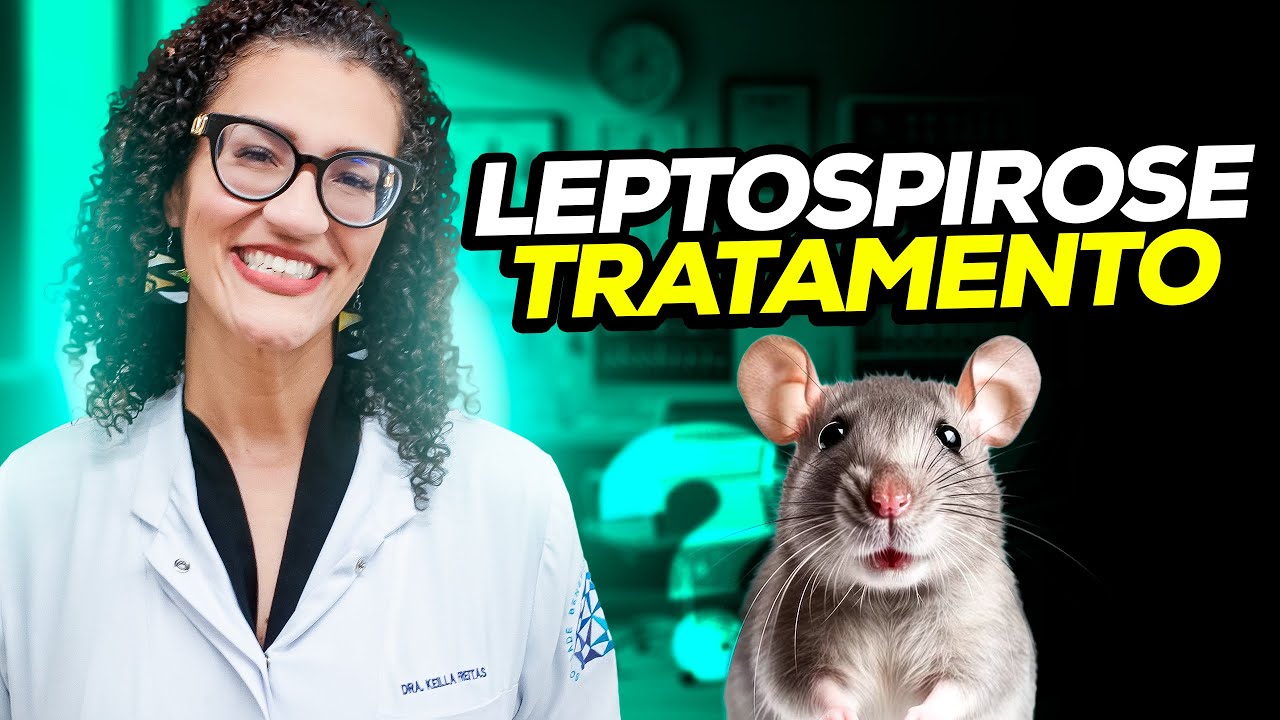 Leptospirose - Tratamento e Prevenção da Leptospirose
