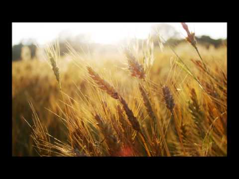 Afrojack vs. Zedd feat. Matthew Koma - Spectrum of Rock (Tuni Mash Up)