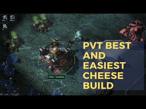 PvT Best Cheese Build