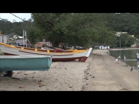 TJ UFSC 16/08/17 - Vestibular UFSC 2018 // Exposição Sambaquis // Semana Acadêmica de Administração