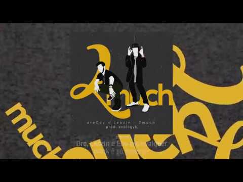 dreCoy x Leozin x Ecologyk - 2much