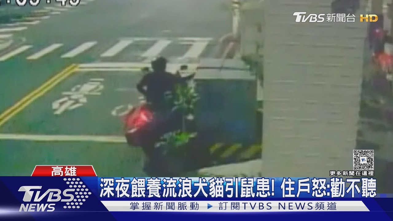 丟廚餘餵犬貓「引鼠患」! 住戶氣報警 婦挨罰喊:不敢了