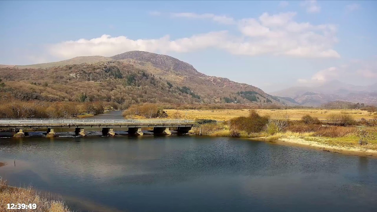 Bywyd Gwyllt Glaslyn Wildlife - Ffrwd Byw / Live Stream 2