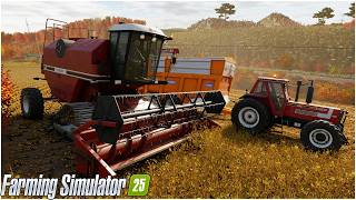 ITALIA MEDITERRANEA FS25 #40 - Proviamo La Mietitrebbia Fiat 3550 AL - GAMEPLAY ITA