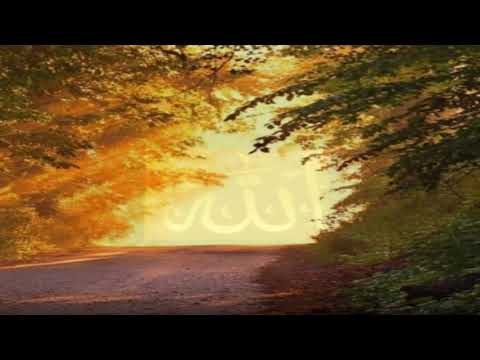 Ibrahim Jibreen Surah Noor ابراهيم الجبرين سورة النور