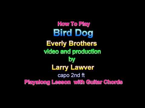 Bird Dog - Everly Brothers
