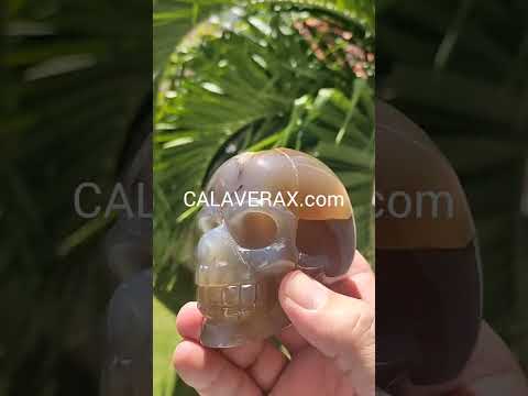 Calavera Cráneo de Ágata Marrón Geoda 52038