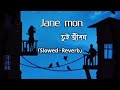 Jane Mon Tui Jibon Slowed and Reverb । Jeet Ganguly। Midnight With Pallab।