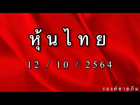 เลข ชุด หวย หุ้น เข้า ทุก วัน