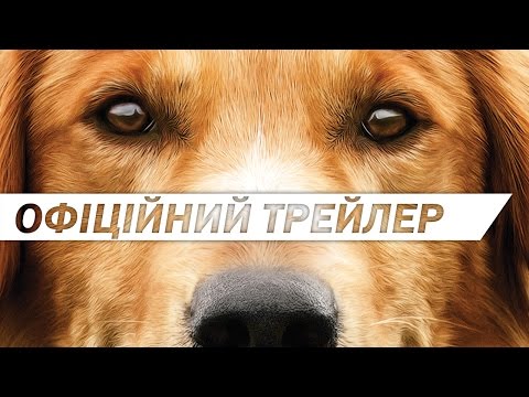 ЖИТТЯ І МЕТА СОБАКИ [ОФІЦІЙНИЙ ТРЕЙЛЕР]
