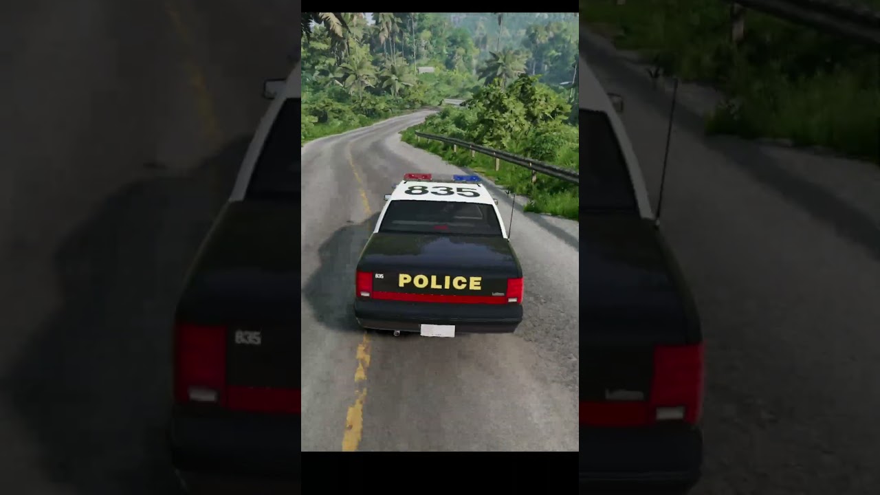 Jungle interception plan  | BeamNG drive