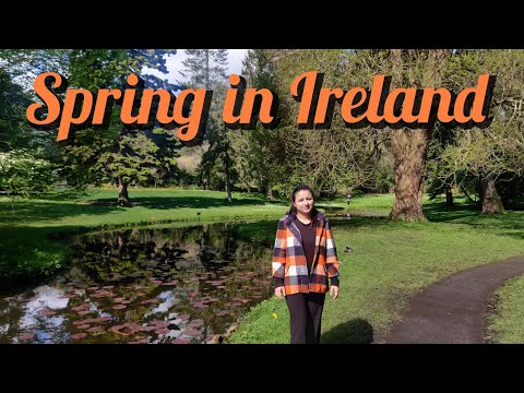 Spring in Ireland - When Streets Become Gardens | Best Season to Visit Ireland